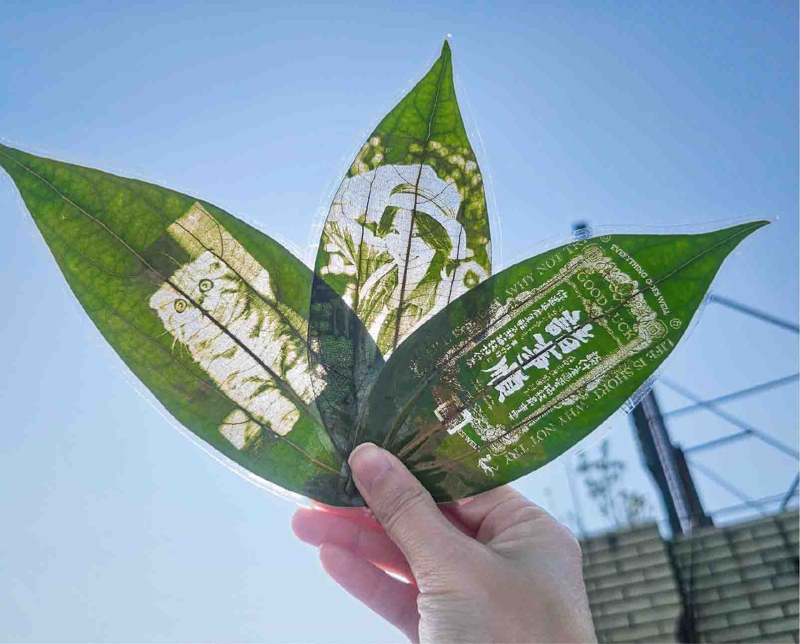 Ortur R2 leaves laser engraving