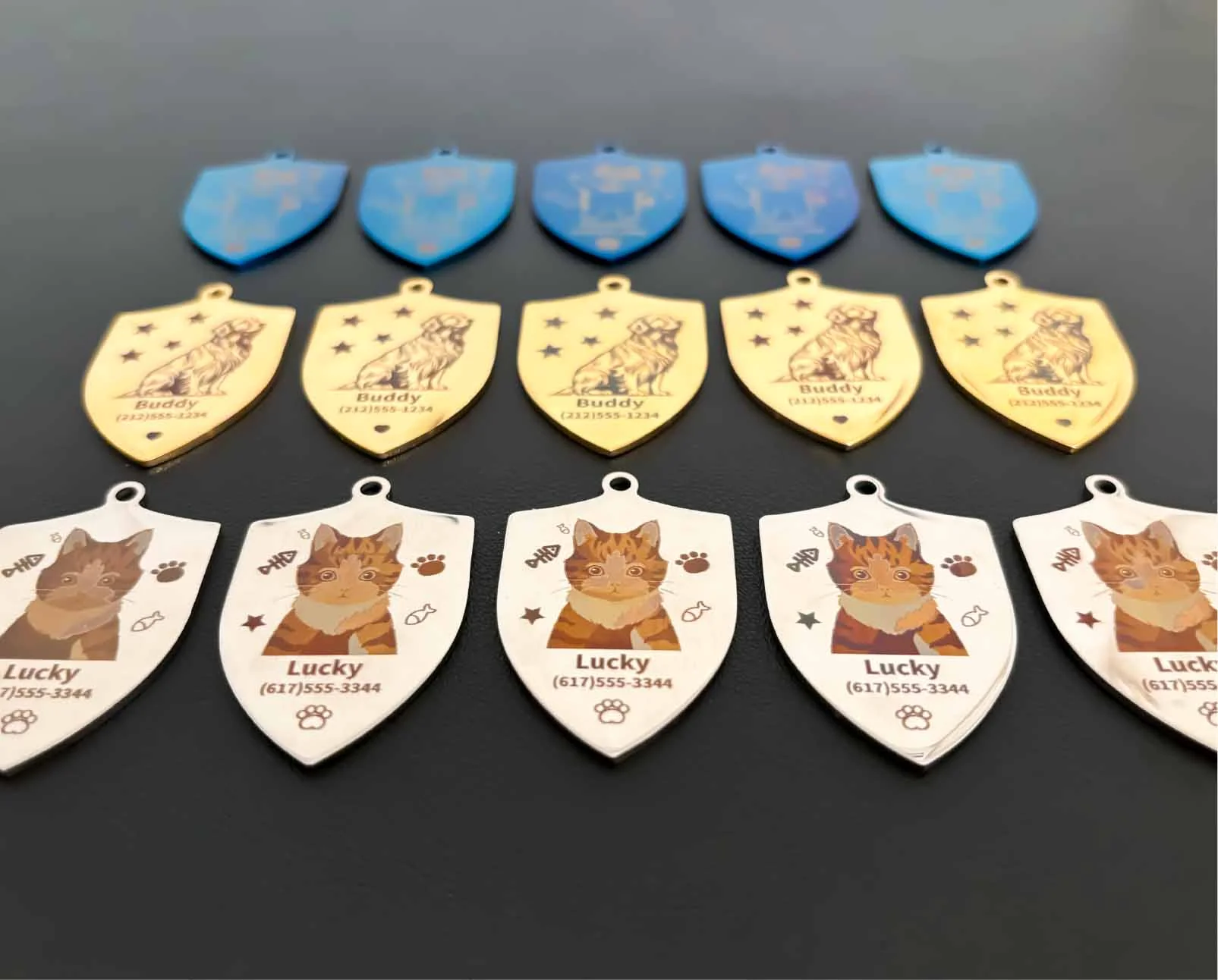 Ortur R2 metal pet name tags laser engraving